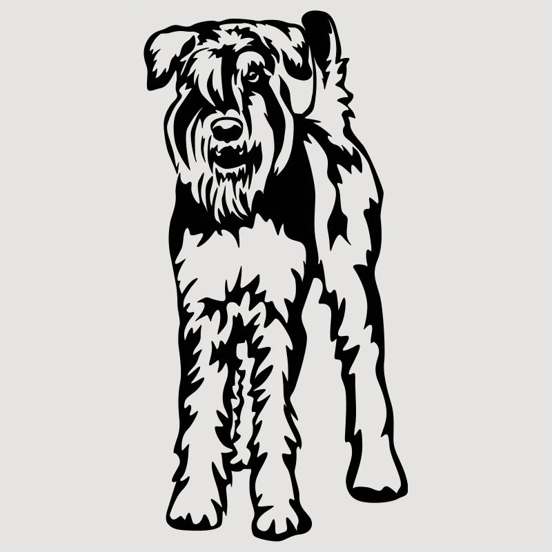 Schnauzer géant