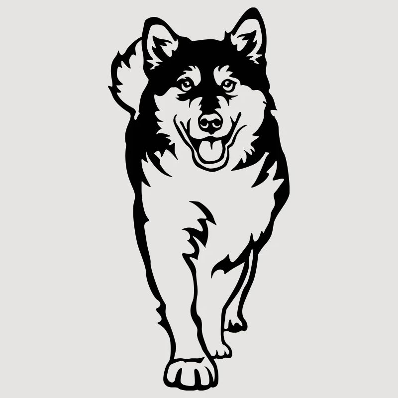 Malamute d’Alaska