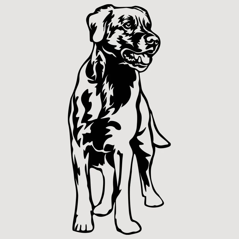 Labrador