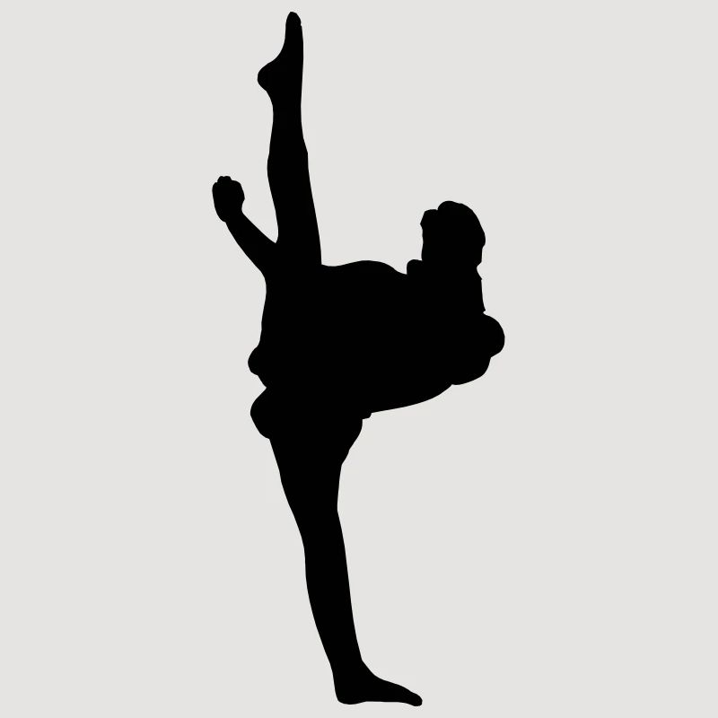 Karate oder Taekwondo High Kick