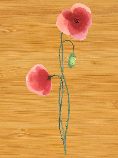 Flower: red poppy
