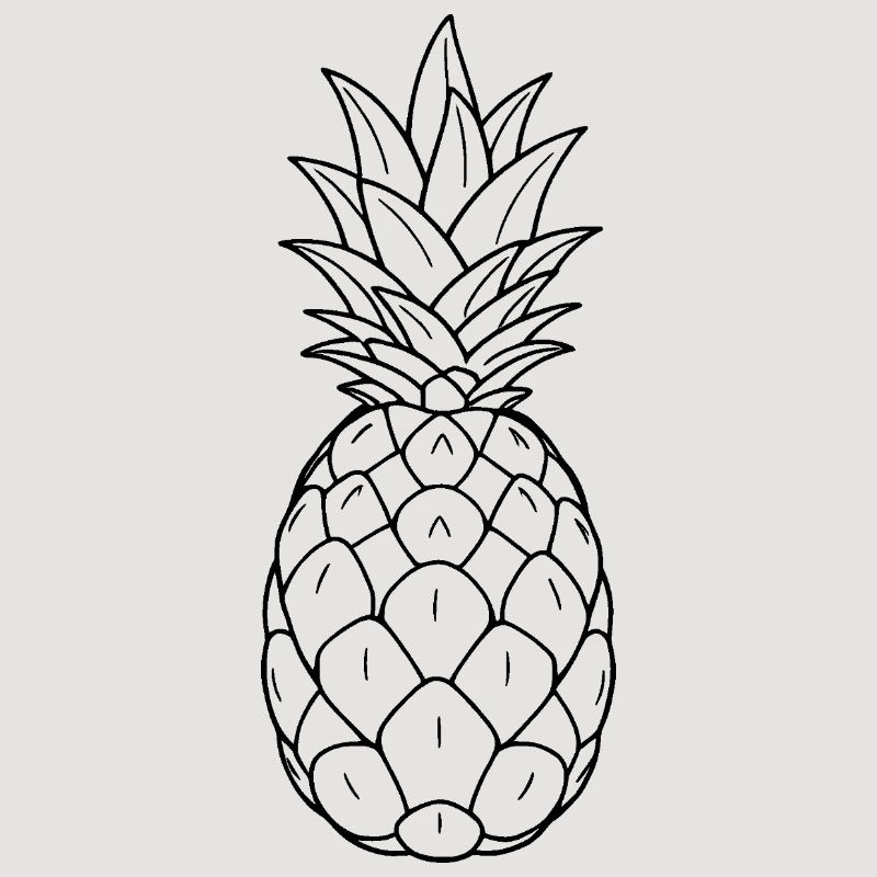 Minimalistic Pineapple