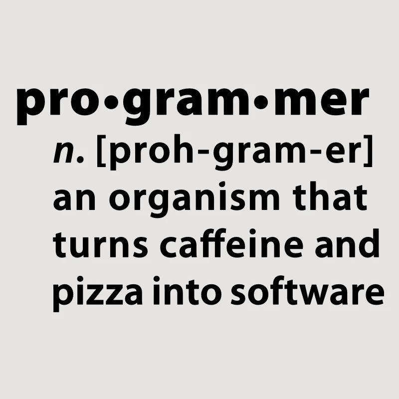 Programmer dictionary definition