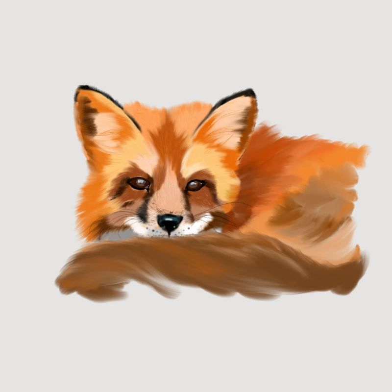 fox