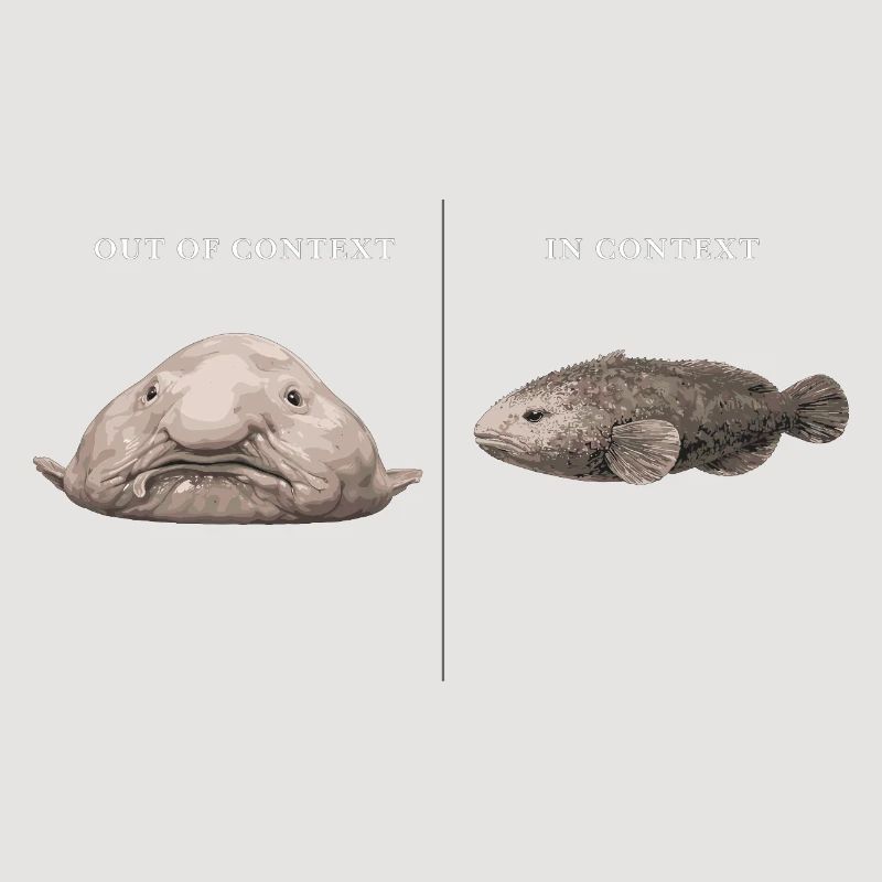 Blobfish hors contexte vs comparaison dans le contexte