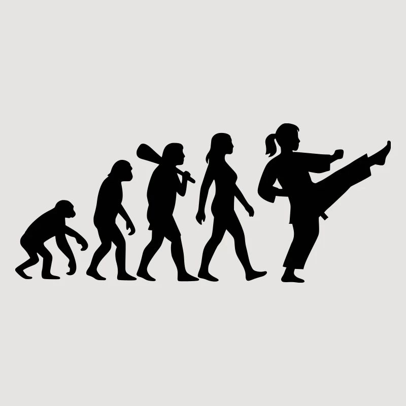 Karate Evolution