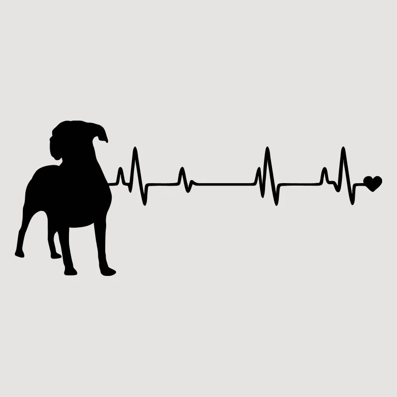 Chien