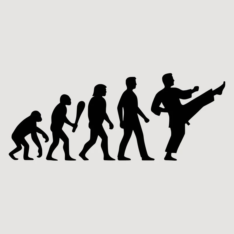 Karate Evolution