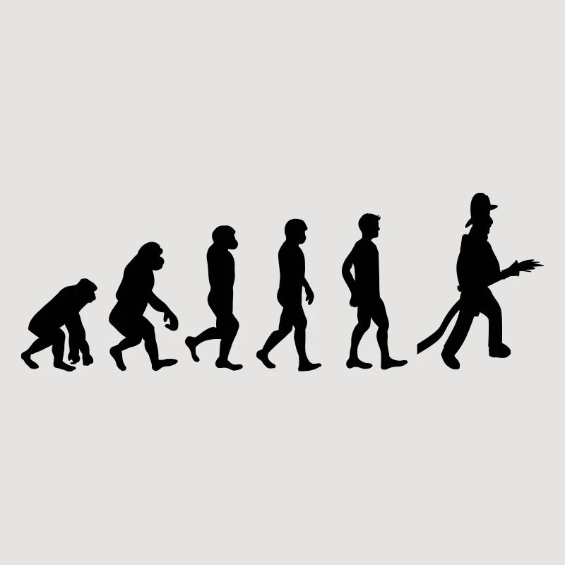 Fire evolution