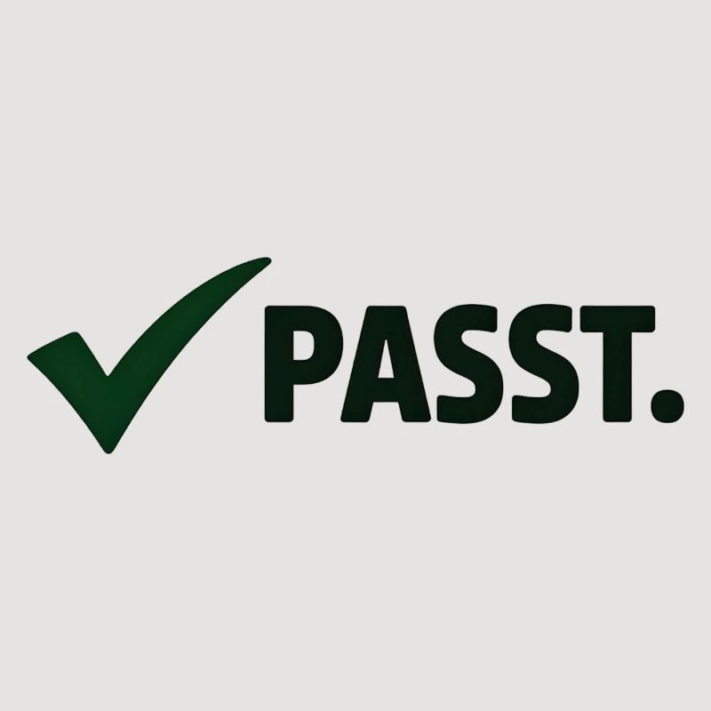 Passt. Minimal Meme Statement T-Shirt