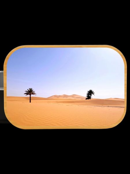 Solar Palms in Golden Desert