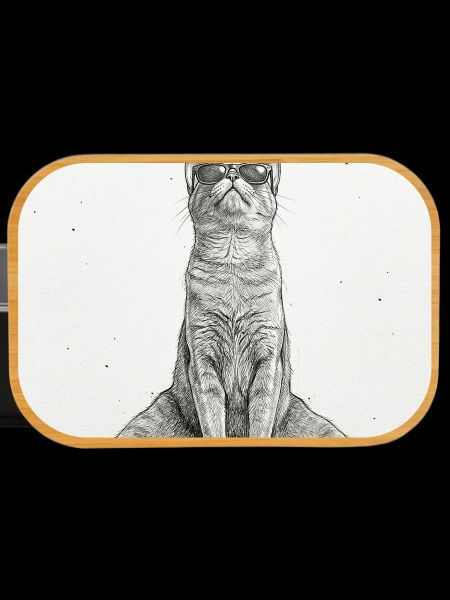 Cool Cat Yoga Splits