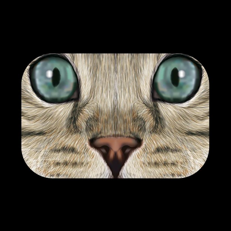 Bengalkatze
