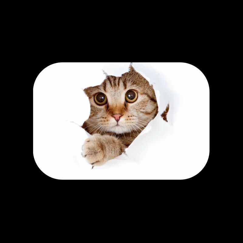 Chaton à coucou à travers une déchirure de papier