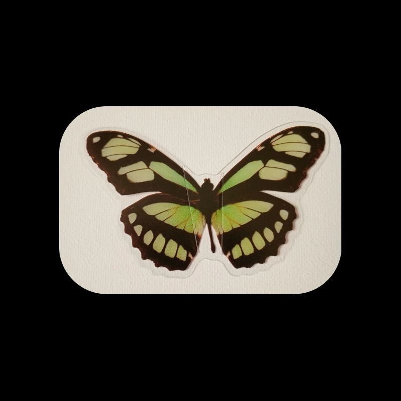 Grüner Schmetterling Patchkunst