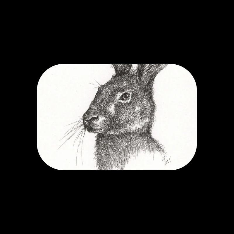 Not just another Rabbit