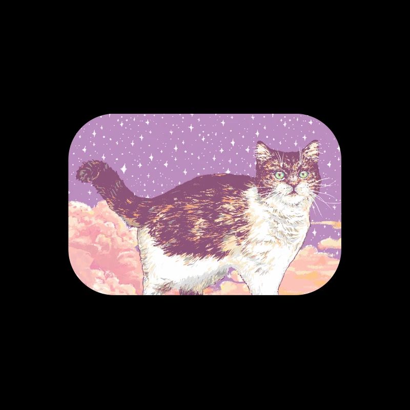 CHAT NUAGE