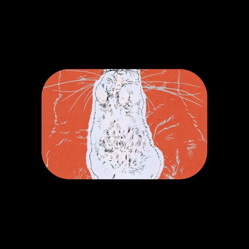 IMMER BEOBACHTEND, IMMER URTEILEND