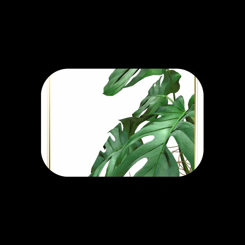 Feuilles de monstera dans un cadre doré