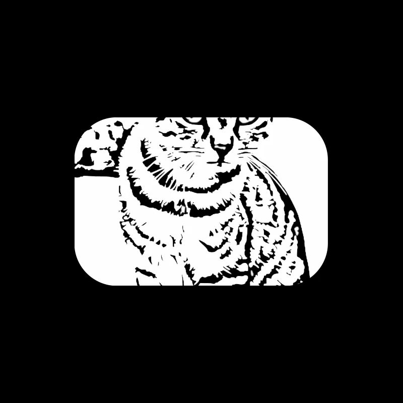 Chat noir et blanc