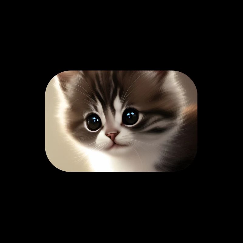Baby Katze