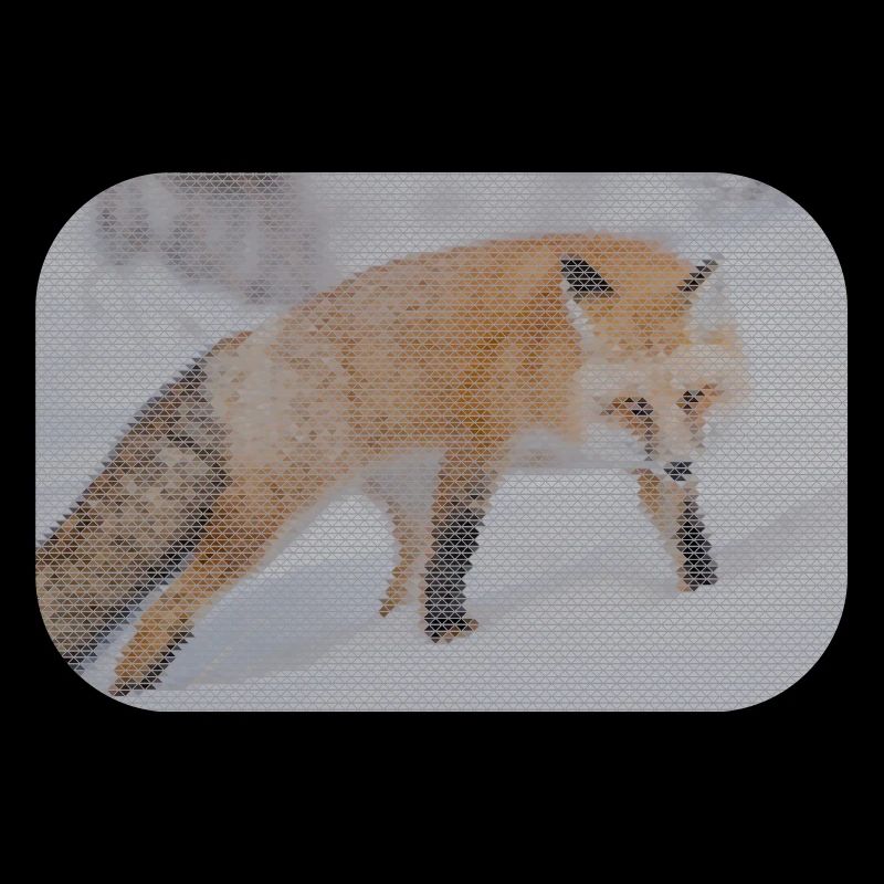 geometric fox