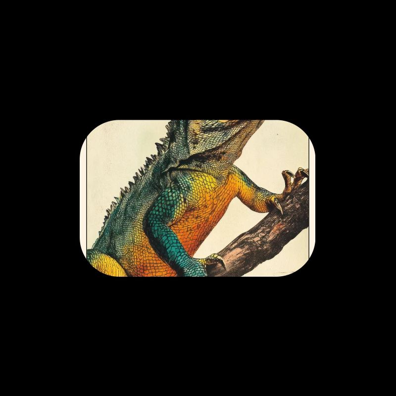 Lizards Lizard