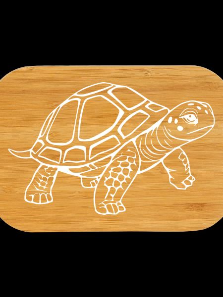 Tortue Tortues