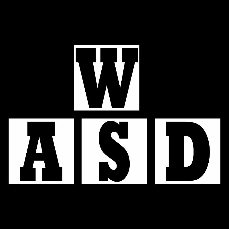 W A S D