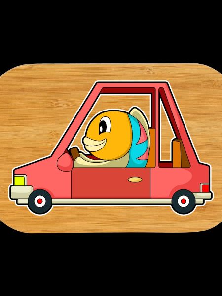Fish Car
