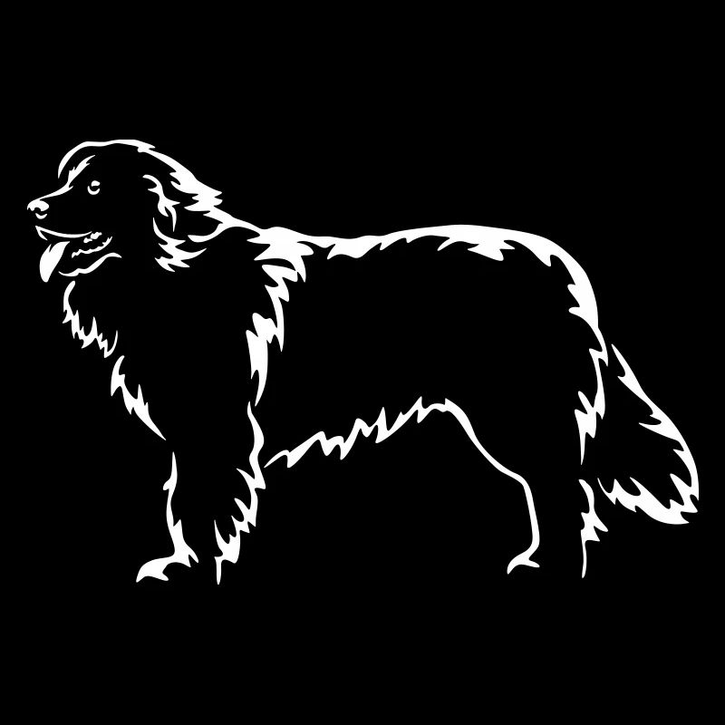 Neufundländer "Black Edition"