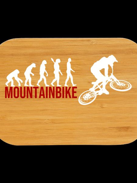 Evolution Mountainbike