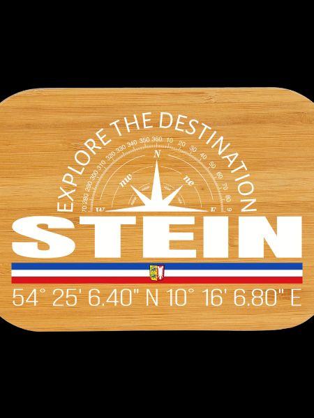 Stein