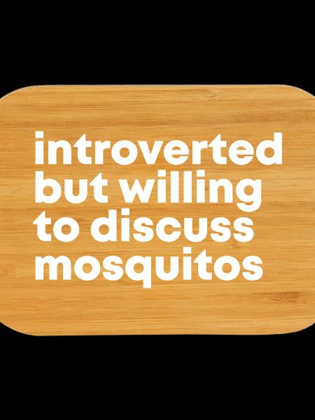 Mosquito Mosquito Mosquito