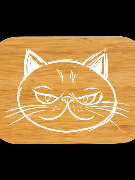 Cat with mischievous expression Drawing