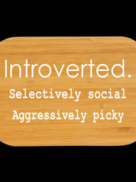 Introverted. Selectively social Aggressively picky