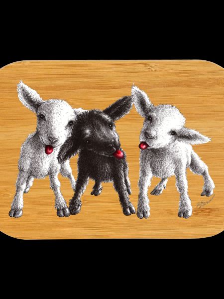 cheeky sheep
