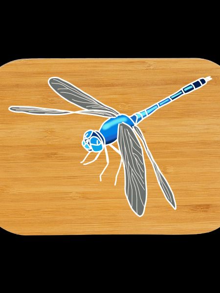Libellule