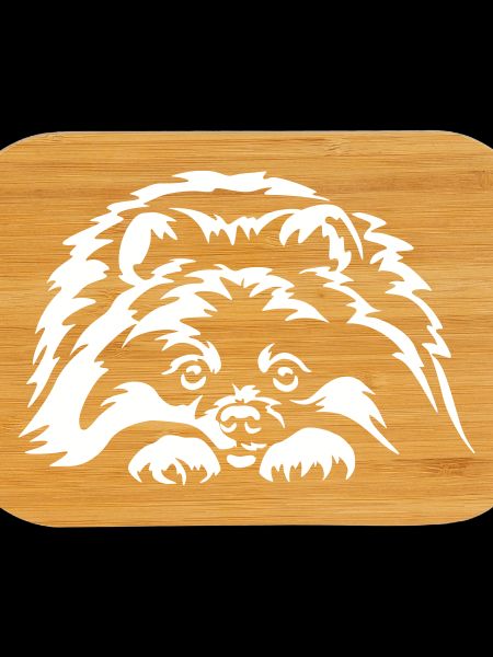 Pomeranian "Black Edition"