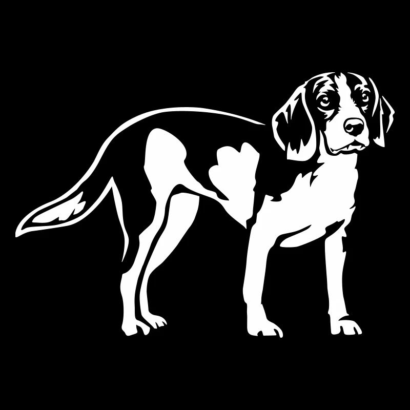 Beagle « Édition Noire »