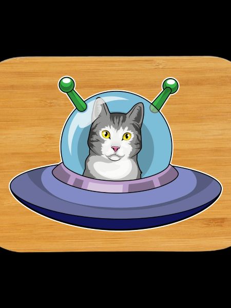 Vaisseau spatial Chat Espace
