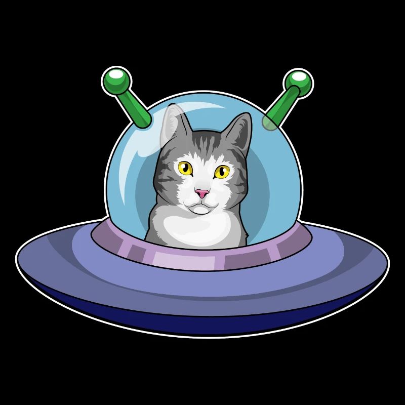 Cat Spaceship Space