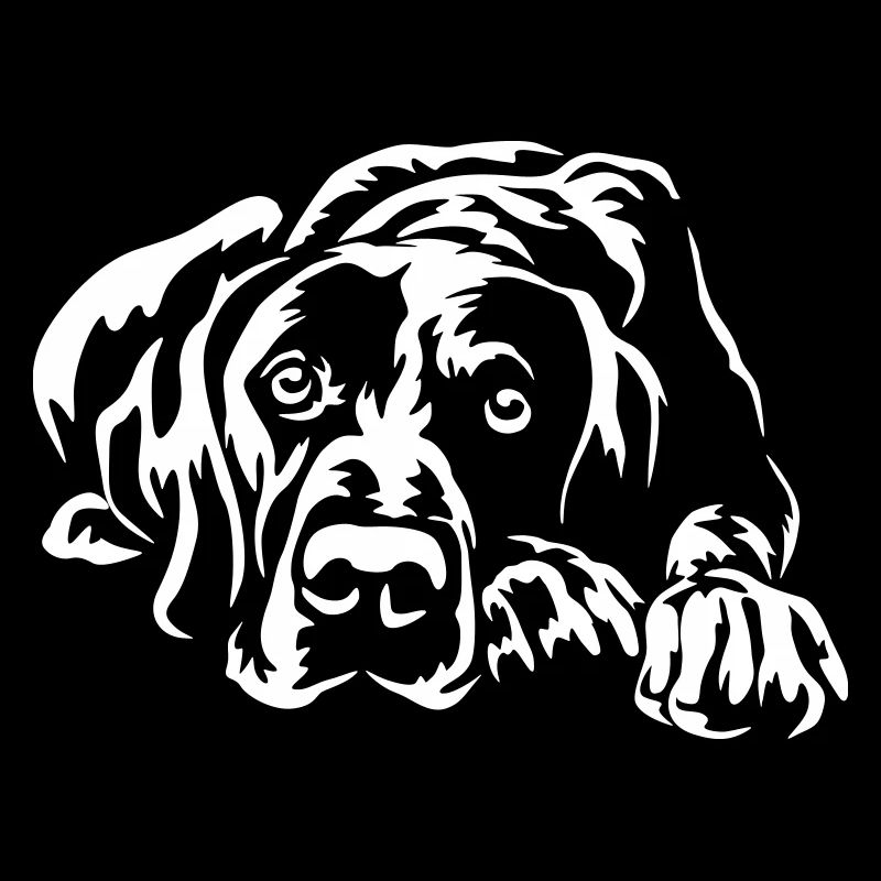 German Shorthaired Pointer "Black Edition"