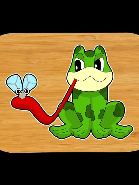 Mouche grenouille