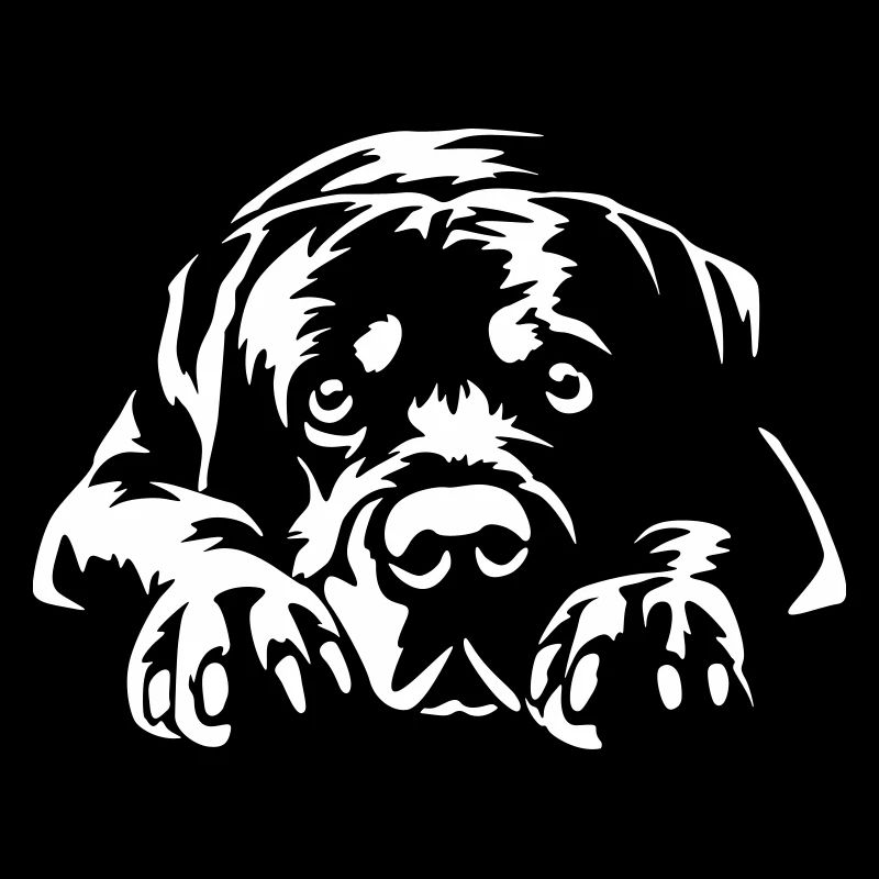 Rottweiler « Édition Noire »
