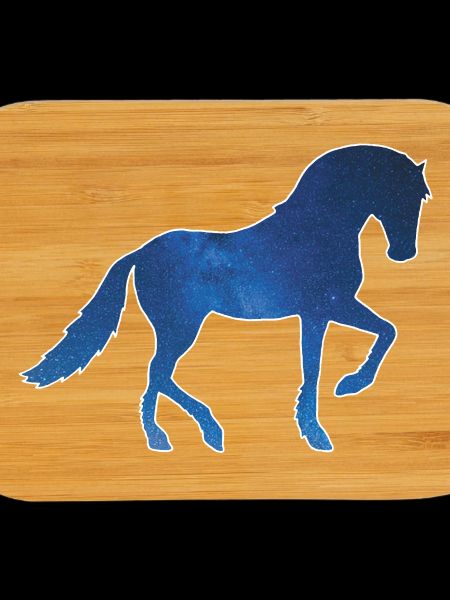 Cheval et univers