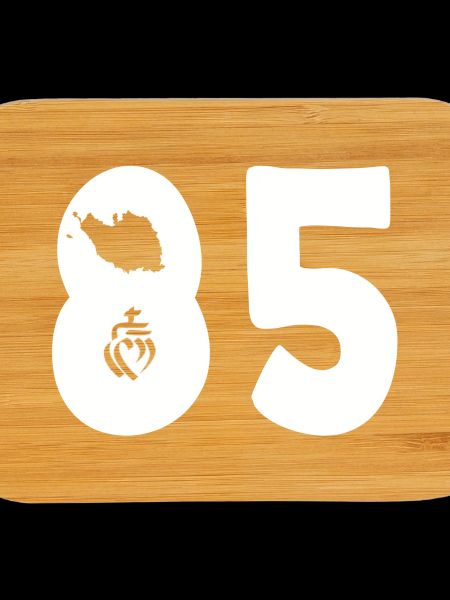 85 departement vendee