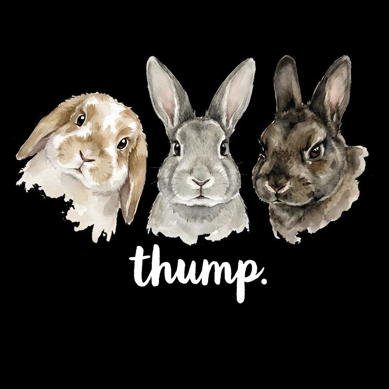 Fun rabbit knocking for rabbit lovers