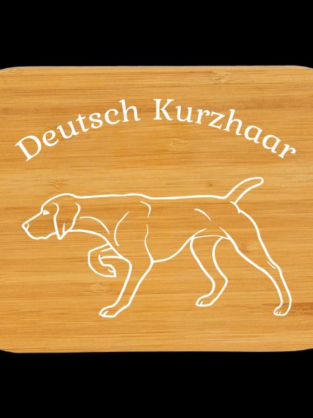 Deutsch Kurzhaar vorstehend
