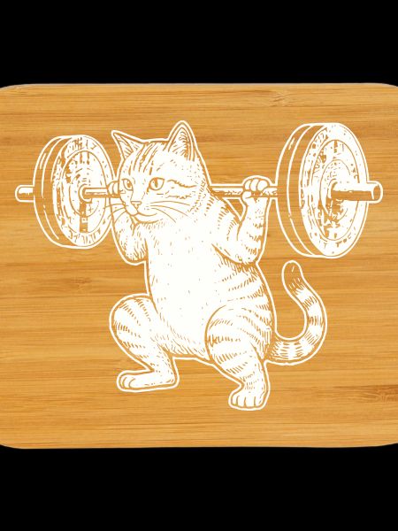 Cat Training Strength Lift